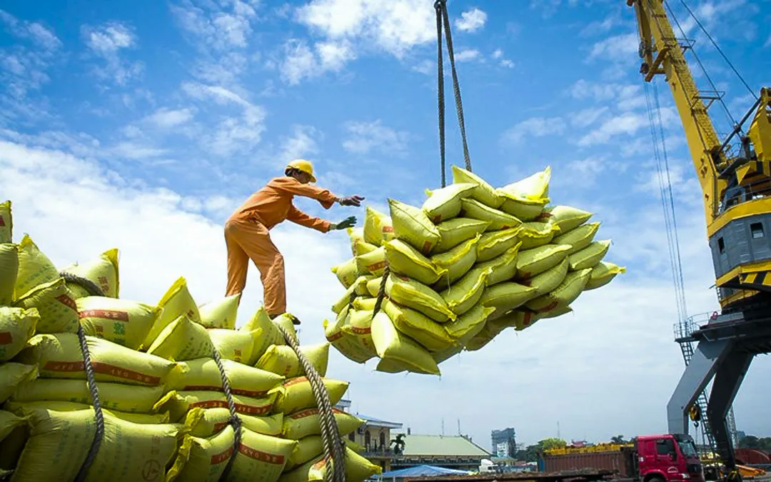 Xuất khẩu gạo đạt hơn 7 triệu tấn - Ảnh 1