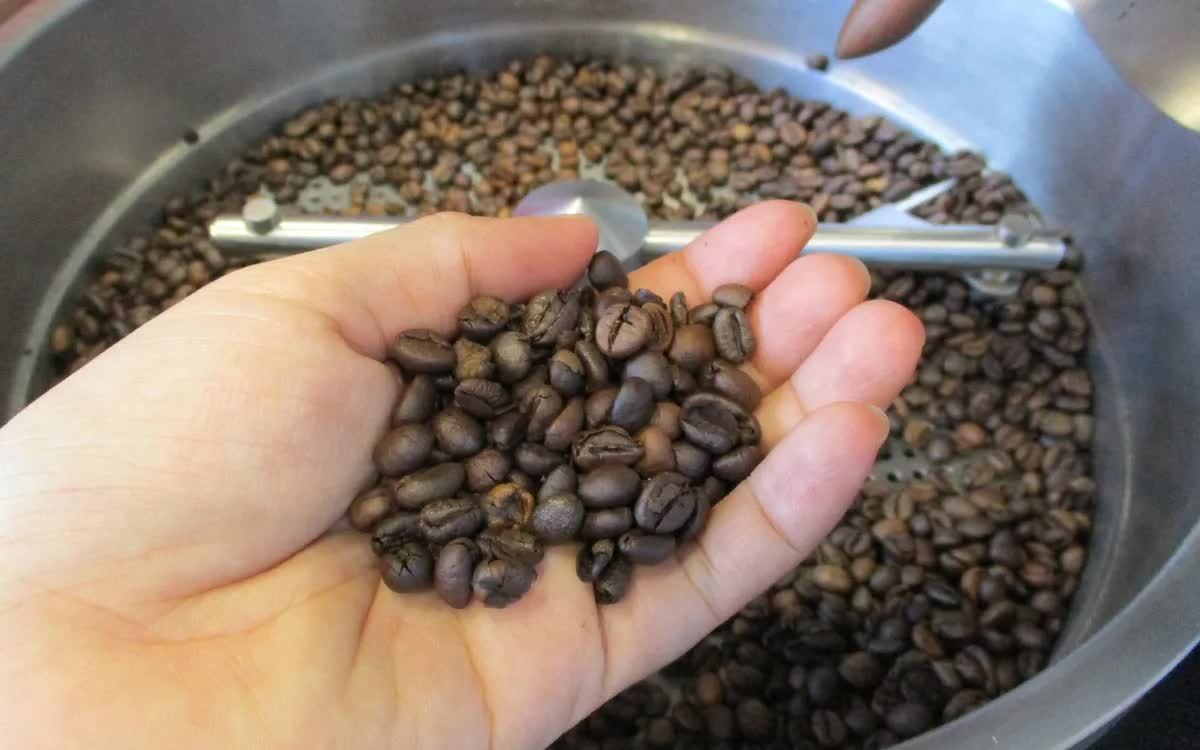 Giá cà phê xuất khẩu tăng 45% - Ảnh 1