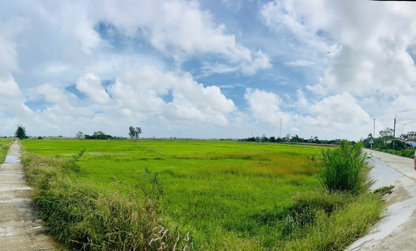 Rà soát Dự án đường sắt tốc độ cao Bắc - Nam qua Đà Nẵng - Ảnh 3