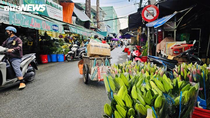 Chợ hoa lớn nhất TP.HCM vắng vẻ trước dịp lễ 20/10 - Ảnh 1