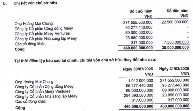 Công ty BĐS Việt Nam 6 năm tuổi muốn IPO, niêm yết sàn Mỹ: Chia nhỏ 50 lần mệnh giá cổ phiếu chỉ còn 200 đồng, gần 50% tổng tài sản bị Kiểm toán nêu ý kiến ngoại trừ - Ảnh 1