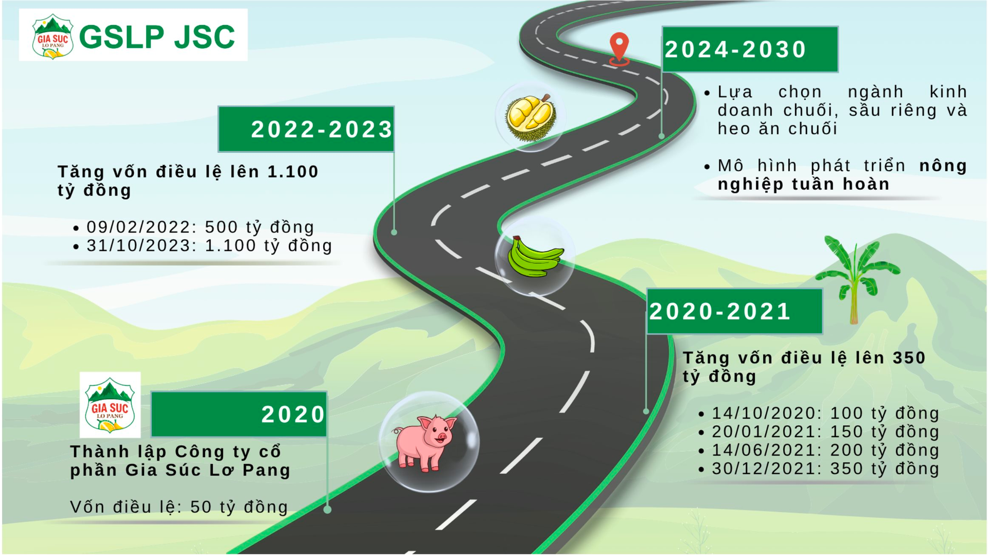 Chân dung 2 DN nghìn tỷ của Hoàng Anh Gia Lai muốn niêm yết năm 2026, 2027: Có công ty được chuyển 300 tỷ tiền nợ thành vốn góp - Ảnh 2