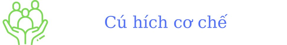 Tài xế taxi "vanh vách" nói chuyện đầu tư, 10 người thì 7 người rót tiền vào chứng khoán: Đây là lý do thị trường này khiến cả châu lục “ghen tị” - Ảnh 5