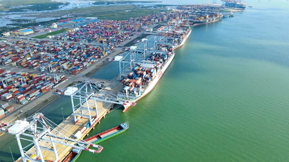Viconship lãi 456 tỷ đồng sau 9 tháng đầu năm, tăng gần 50% so với cùng kỳ - Ảnh 3