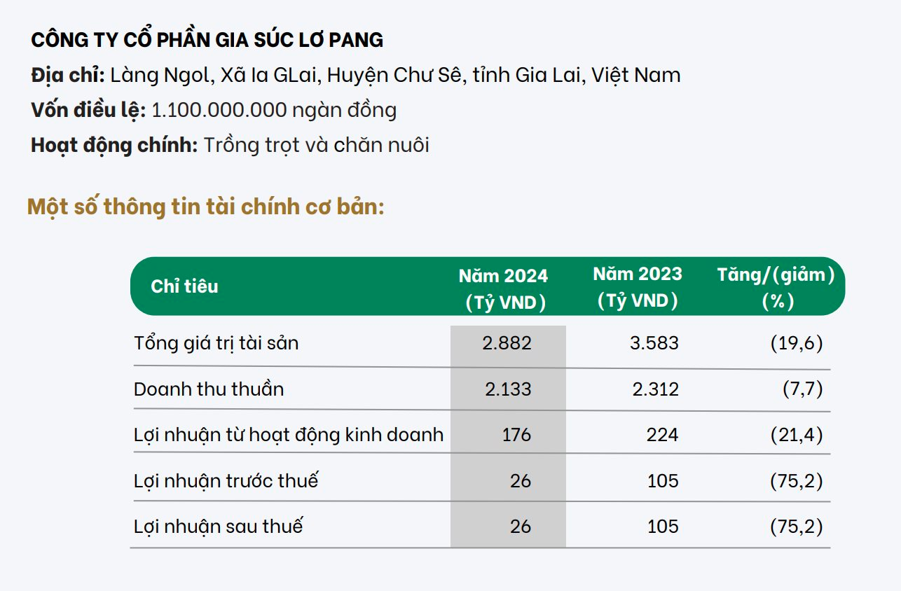 Chân dung 2 DN nghìn tỷ của Hoàng Anh Gia Lai muốn niêm yết năm 2026, 2027: Có công ty được chuyển 300 tỷ tiền nợ thành vốn góp - Ảnh 3