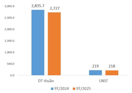 Dệt may Thành Công (mẹ) báo lãi tháng 9/2025 chỉ bằng 31% cùng kỳ - Ảnh 2