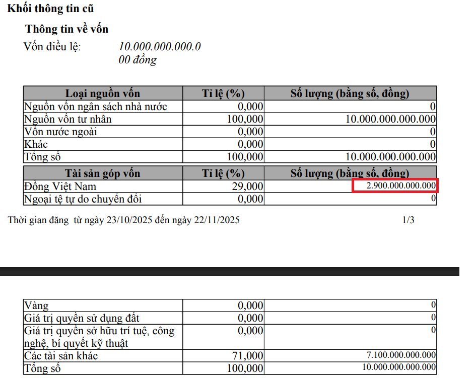 VinEnergo nâng vốn điều lệ lên hơn 28.000 tỷ đồng, hơn một nửa là "tài sản khác" - Ảnh 2
