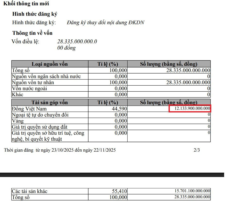 VinEnergo nâng vốn điều lệ lên hơn 28.000 tỷ đồng, hơn một nửa là "tài sản khác" - Ảnh 1
