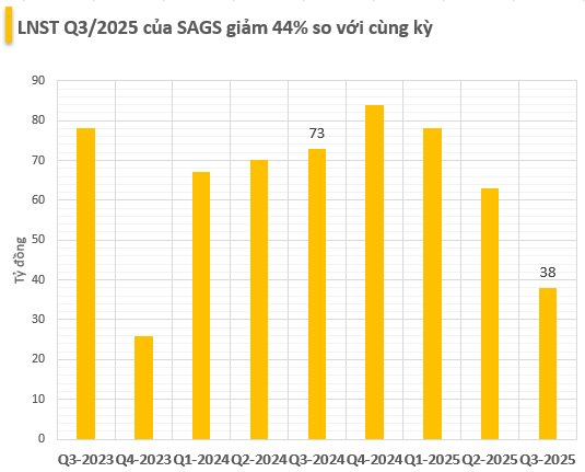Mất khách hàng Vietjet, Phục vụ Mặt đất Sài Gòn báo lãi quý 3/2025 giảm 44% - Ảnh 1