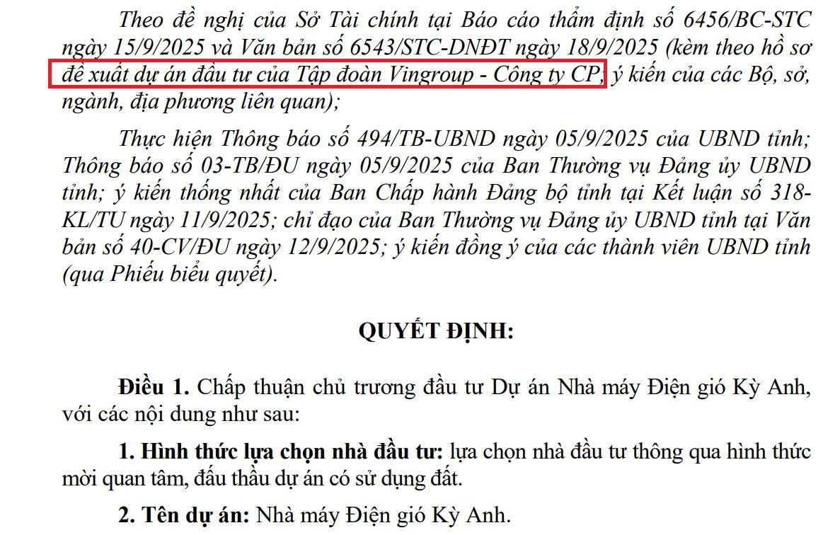 Đằng sau việc ông Phạm Nhật Vượng góp 60 triệu cổ phiếu VIC vào VinEnergo - Ảnh 5