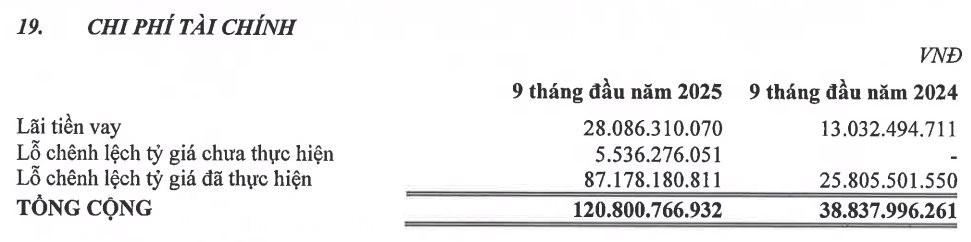 'Cú đấm' của tỷ giá khiến công ty sợi trên sàn giảm 87% lợi nhuận trong quý 3 - Ảnh 2