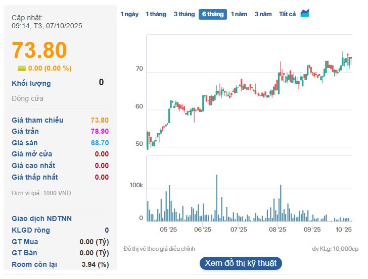 Báo lãi lớn nửa đầu năm, một công ty tạm ứng cổ tức 25% bằng tiền - Ảnh 3