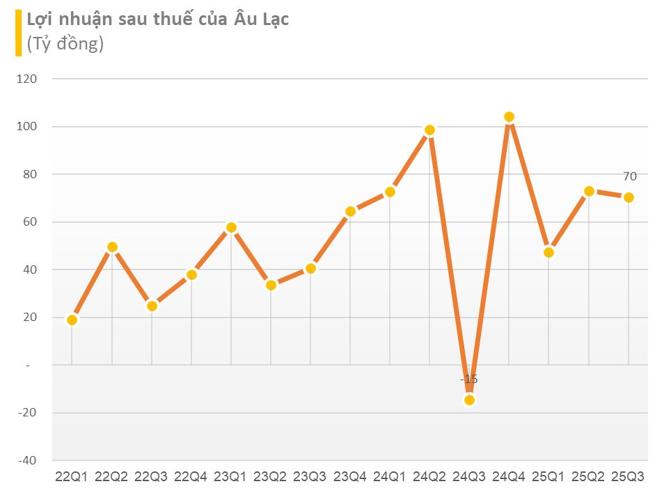 Bất ngờ tại công ty của nữ đại gia bí ẩn từng cầm hơn 4.000 tỷ đồng cổ phiếu ACB - Ảnh 2