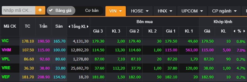 Cổ phiếu nhóm Vingroup đồng thuận bứt phá trong ngày Index vượt đỉnh lịch sử - Ảnh 1