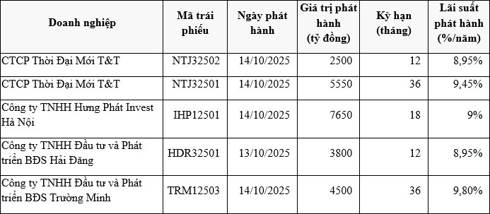 4 DN huy động 24.000 tỷ đồng trái phiếu trong 2 ngày: Cùng ký hợp tác với 1 đại gia BĐS tham gia vào siêu đô thị biển sinh thái Cần Giờ - Ảnh 1