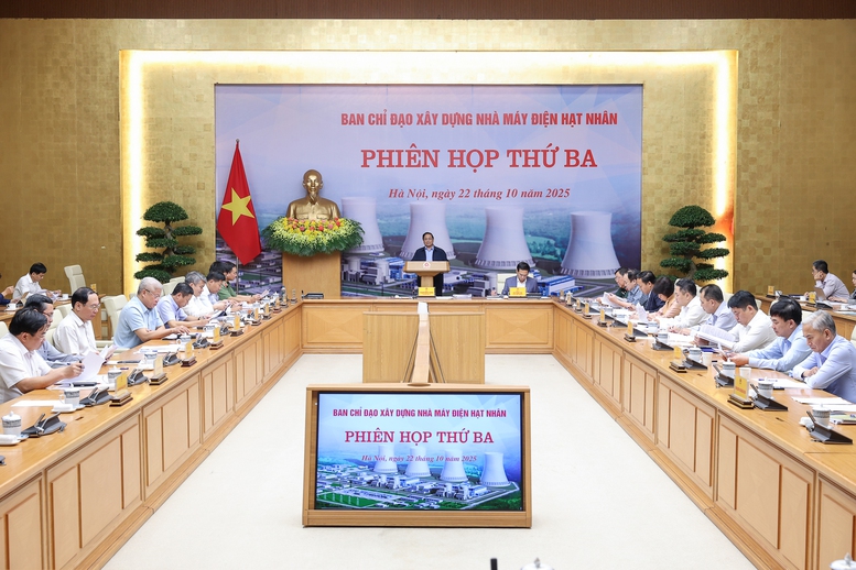 Thủ tướng: Đàm phán xây dựng nhà máy điện hạt nhân 'lợi ích hài hòa, rủi ro chia sẻ' - Ảnh 2