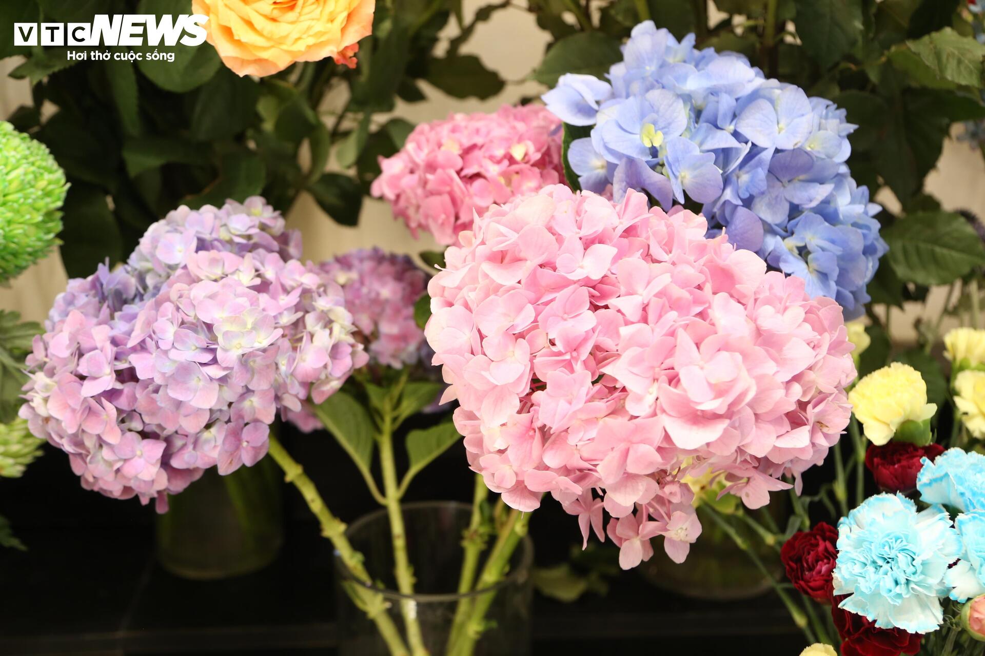 Hoa 'nhà giàu' mỗi bông giá 1 triệu đồng vẫn đắt khách dịp 20/10 - Ảnh 10