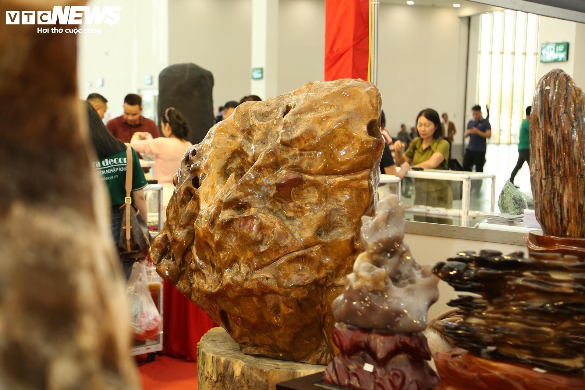 Khách tò mò ngắm san hô, gỗ hóa thạch trăm triệu tuổi, giá tiền tỷ - Ảnh 7