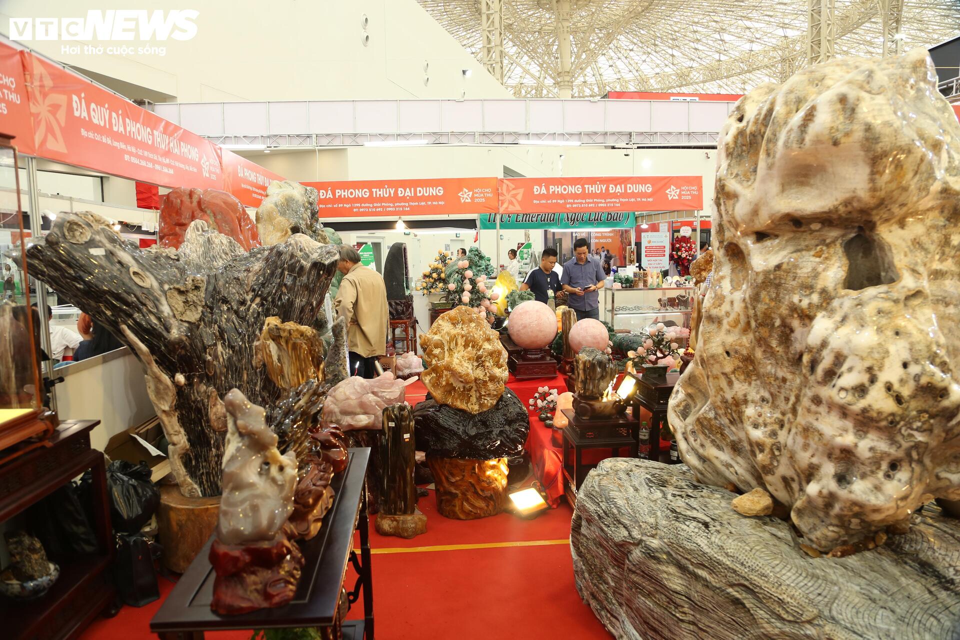 Khách tò mò ngắm san hô, gỗ hóa thạch trăm triệu tuổi, giá tiền tỷ - Ảnh 10