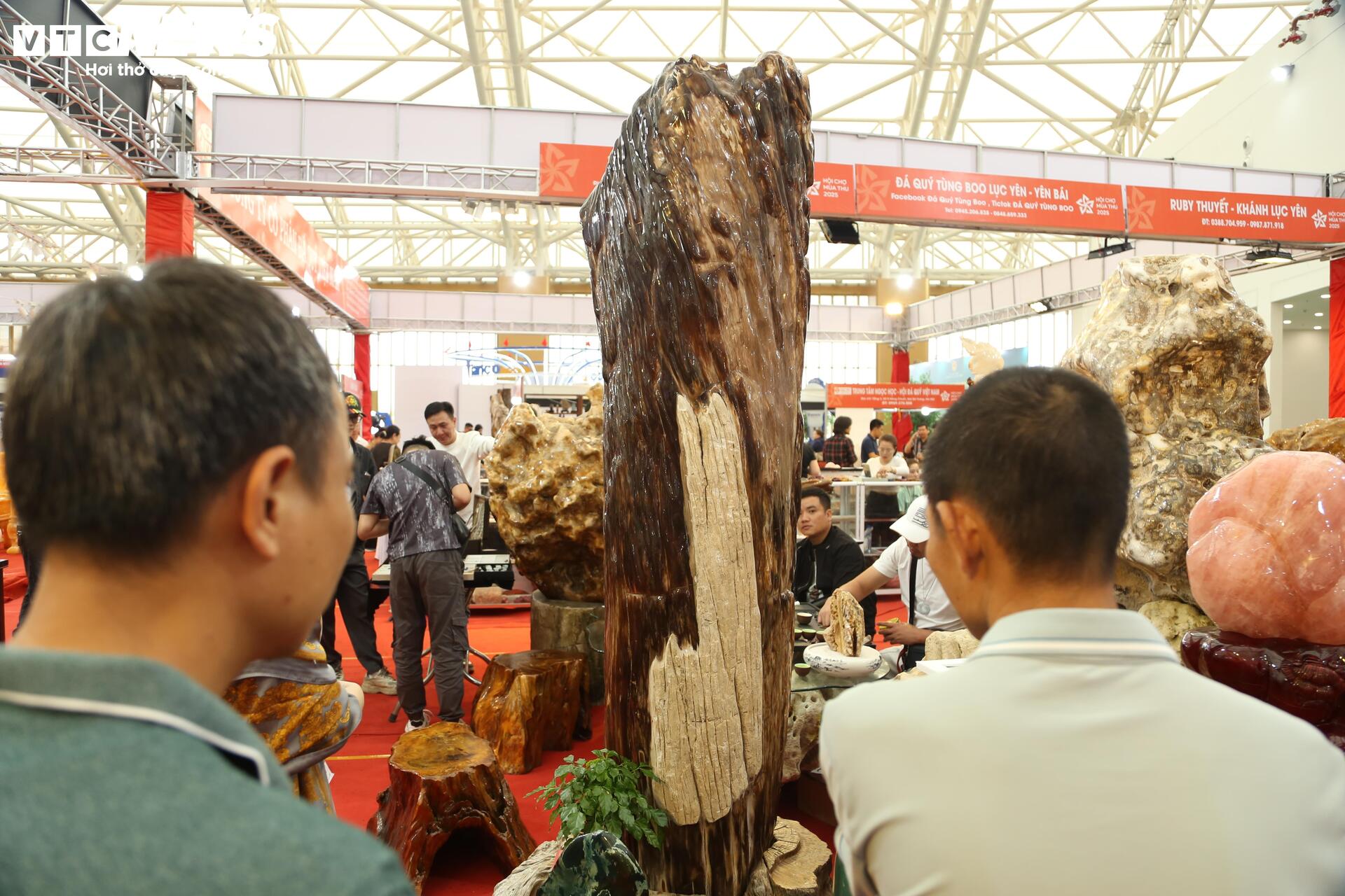 Khách tò mò ngắm san hô, gỗ hóa thạch trăm triệu tuổi, giá tiền tỷ - Ảnh 8