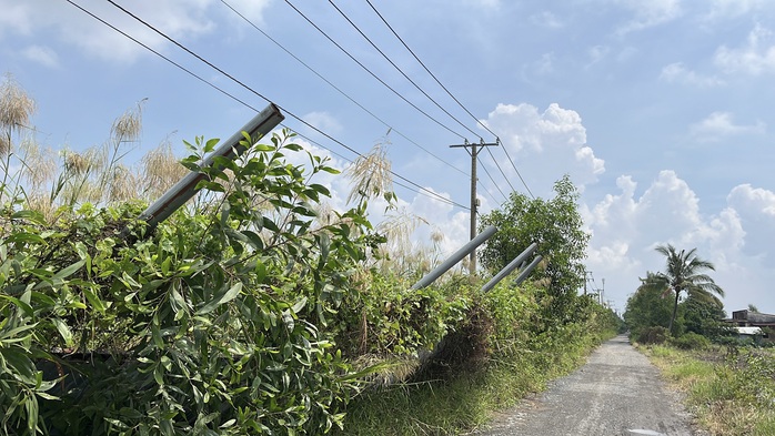 Cận cảnh hiện trạng siêu dự án khiến loạt cựu lãnh đạo Đồng Nai "ngã ngựa" - Ảnh 7