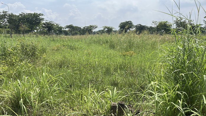 Cận cảnh hiện trạng siêu dự án khiến loạt cựu lãnh đạo Đồng Nai "ngã ngựa" - Ảnh 9