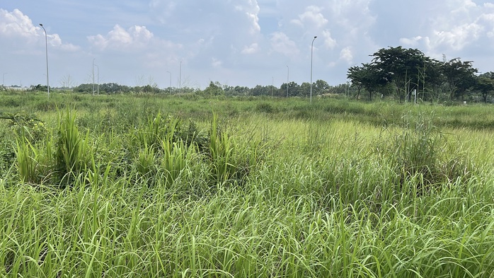 Cận cảnh hiện trạng siêu dự án khiến loạt cựu lãnh đạo Đồng Nai "ngã ngựa" - Ảnh 10