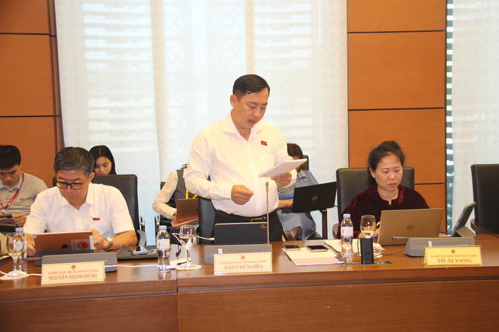 ĐBQH: Không để tình trạng cấp xã quá tải, cán bộ tỉnh lại thiếu việc làm - Ảnh 3