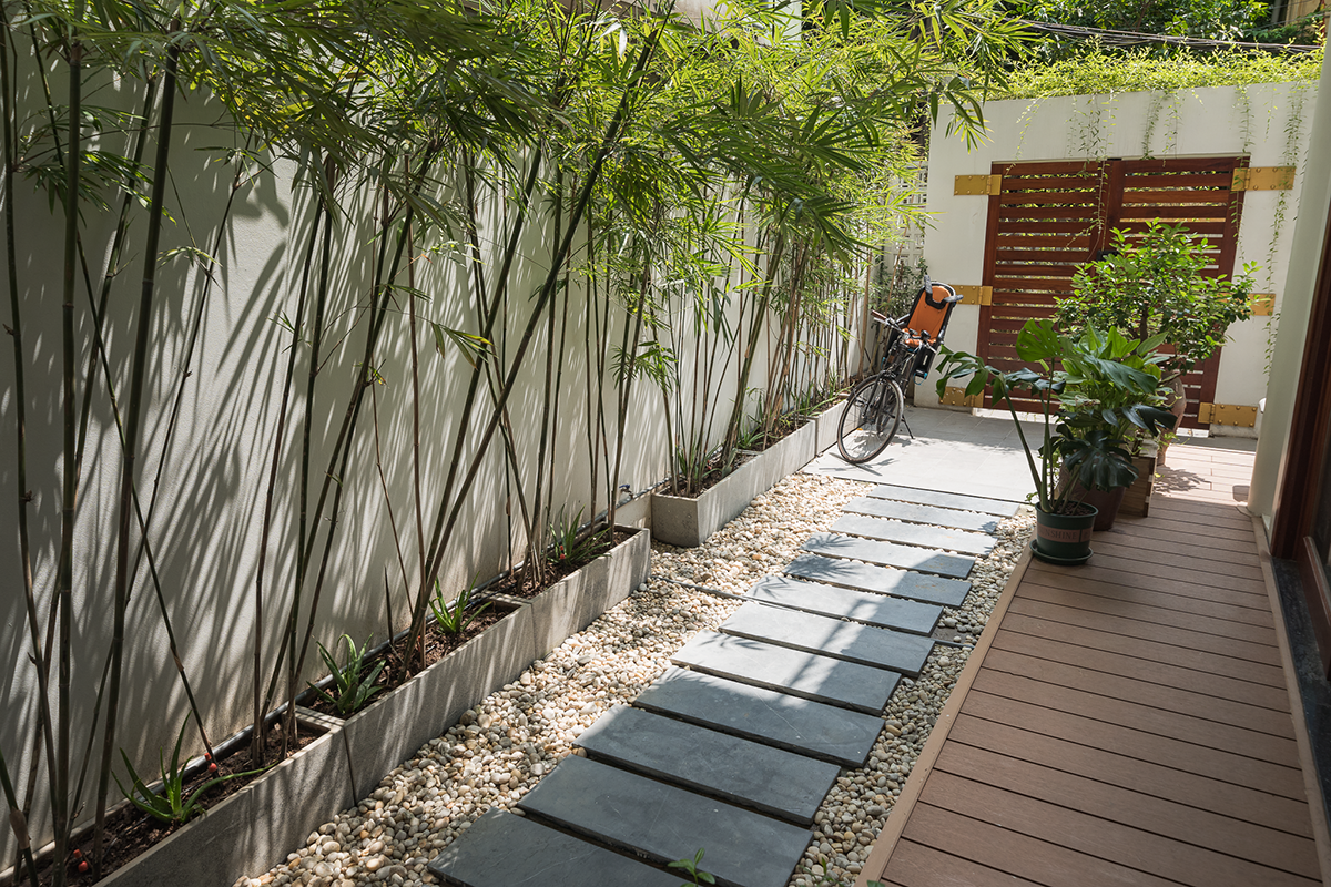 Cải tạo nhà ống chật chội thành không gian sống xanh mát - Ảnh 2