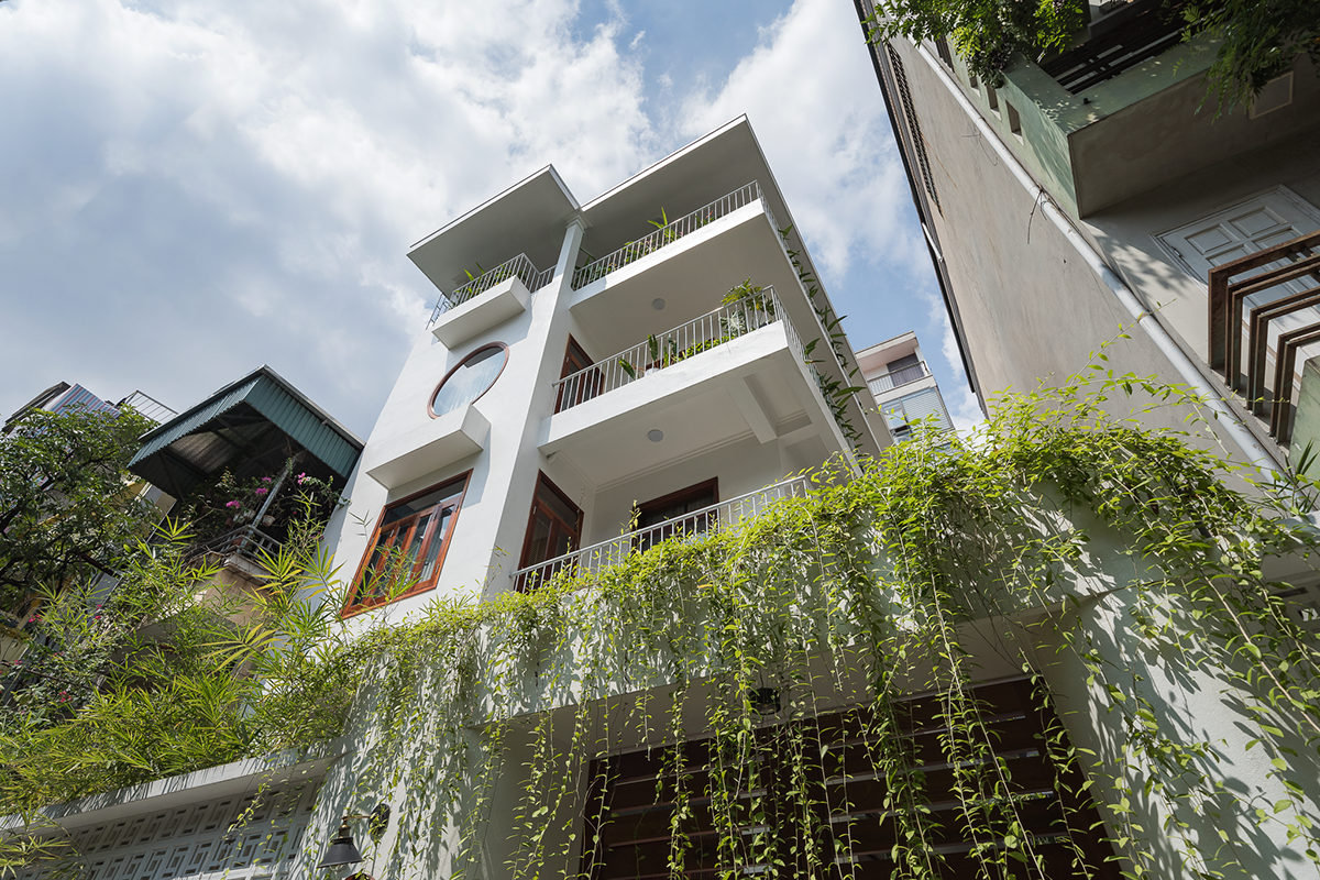 Cải tạo nhà ống chật chội thành không gian sống xanh mát - Ảnh 1