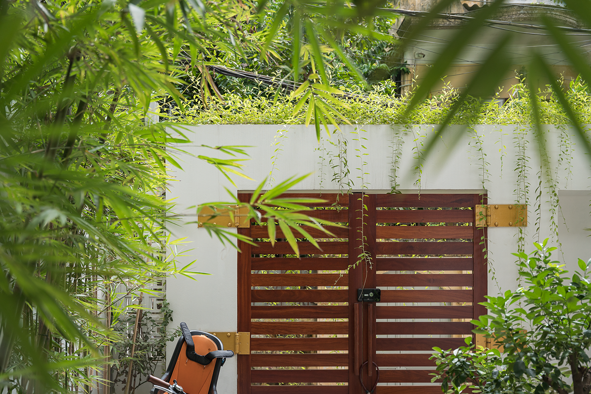 Cải tạo nhà ống chật chội thành không gian sống xanh mát - Ảnh 3