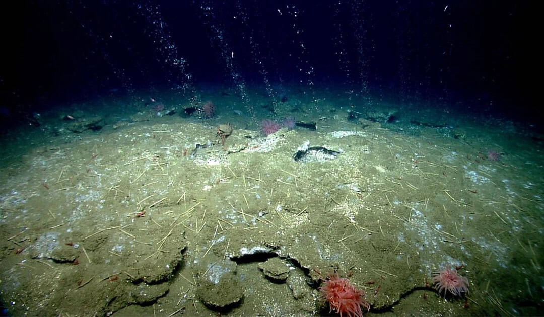 Phát hiện 40 "lỗ thở" bất thường dưới đáy biển Nam Cực, chuyên gia nói: Trái Đất có thể lâm nguy - Ảnh 1