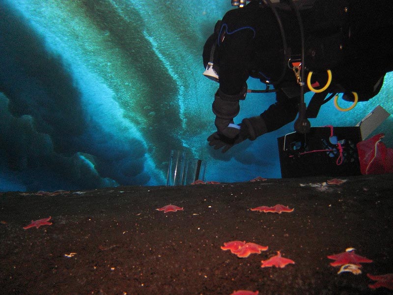 Phát hiện 40 "lỗ thở" bất thường dưới đáy biển Nam Cực, chuyên gia nói: Trái Đất có thể lâm nguy - Ảnh 2