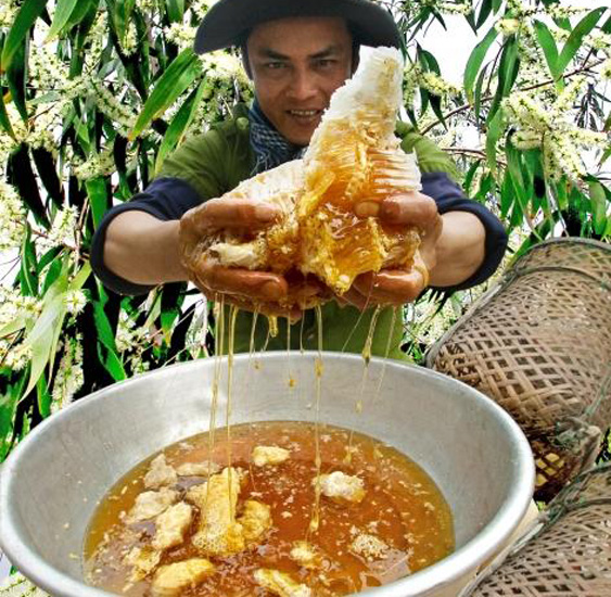 Đặc sản đắt nhất thế giới 40 triệu/kg, Việt Nam có loại thiên nhiên nguyên bản, thơm ngọt chẳng kém cạnh - Ảnh 6