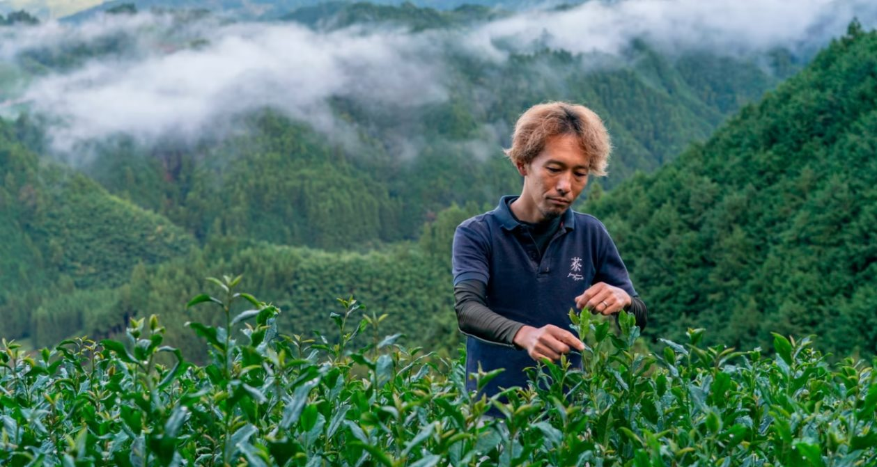 Nhật Bản đang sở hữu loại bột được ví như 'vàng xanh', cả thế giới đổ xô tới đây săn lùng, cung không đủ cầu - Ảnh 1