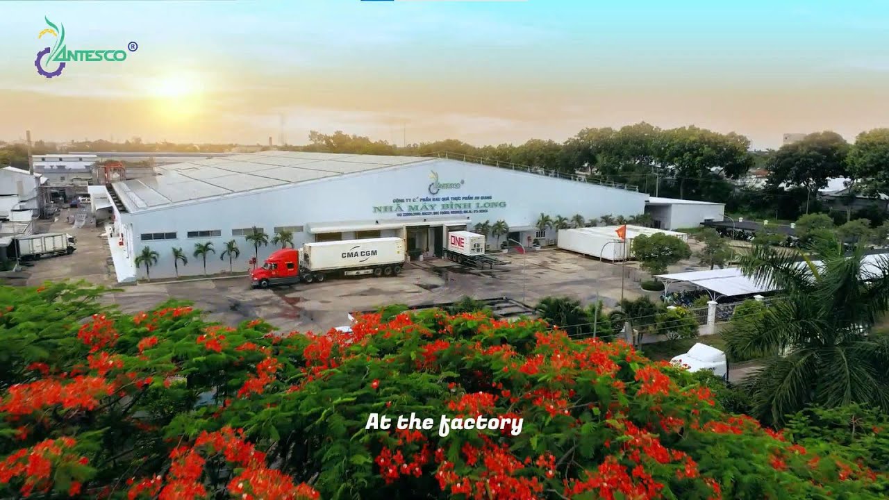 Công ty Việt Nam đầu tiên đưa nông sản đông lạnh vào châu Âu, Mỹ, Nhật: Lãi 9 tháng lớn chưa từng có, cổ phiếu ở vùng đỉnh lịch sử - Ảnh 4