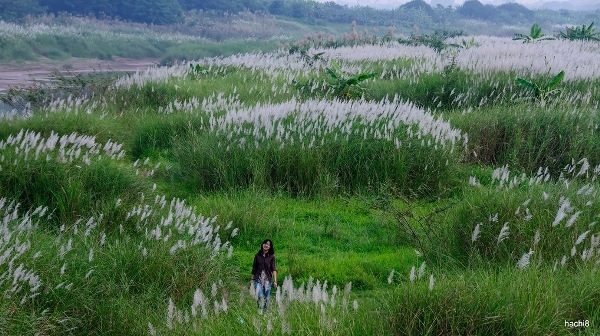 Choáng ngợp cảnh siêu dự án 7.800 ha, giá 300.000 tỷ đồng thành hiện thực, 'kỳ tích sông Hồng" ở rất gần - Ảnh 53