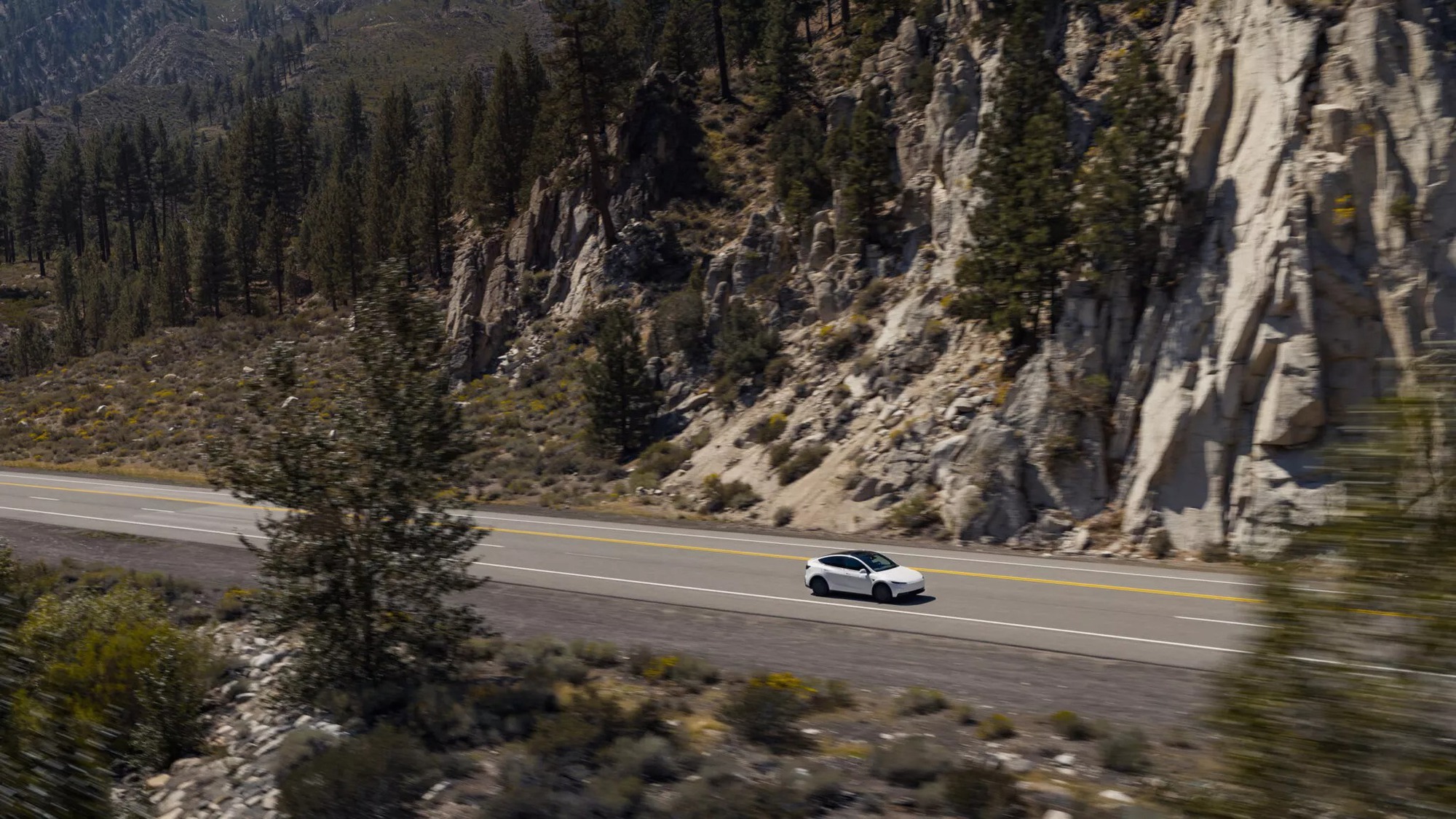 Tesla ra mắt phiên bản giá rẻ cho xe điện Model 3 và Model Y: Giá thấp nhất tương đương 975 triệu, quyết đấu xe Trung Quốc - Ảnh 1