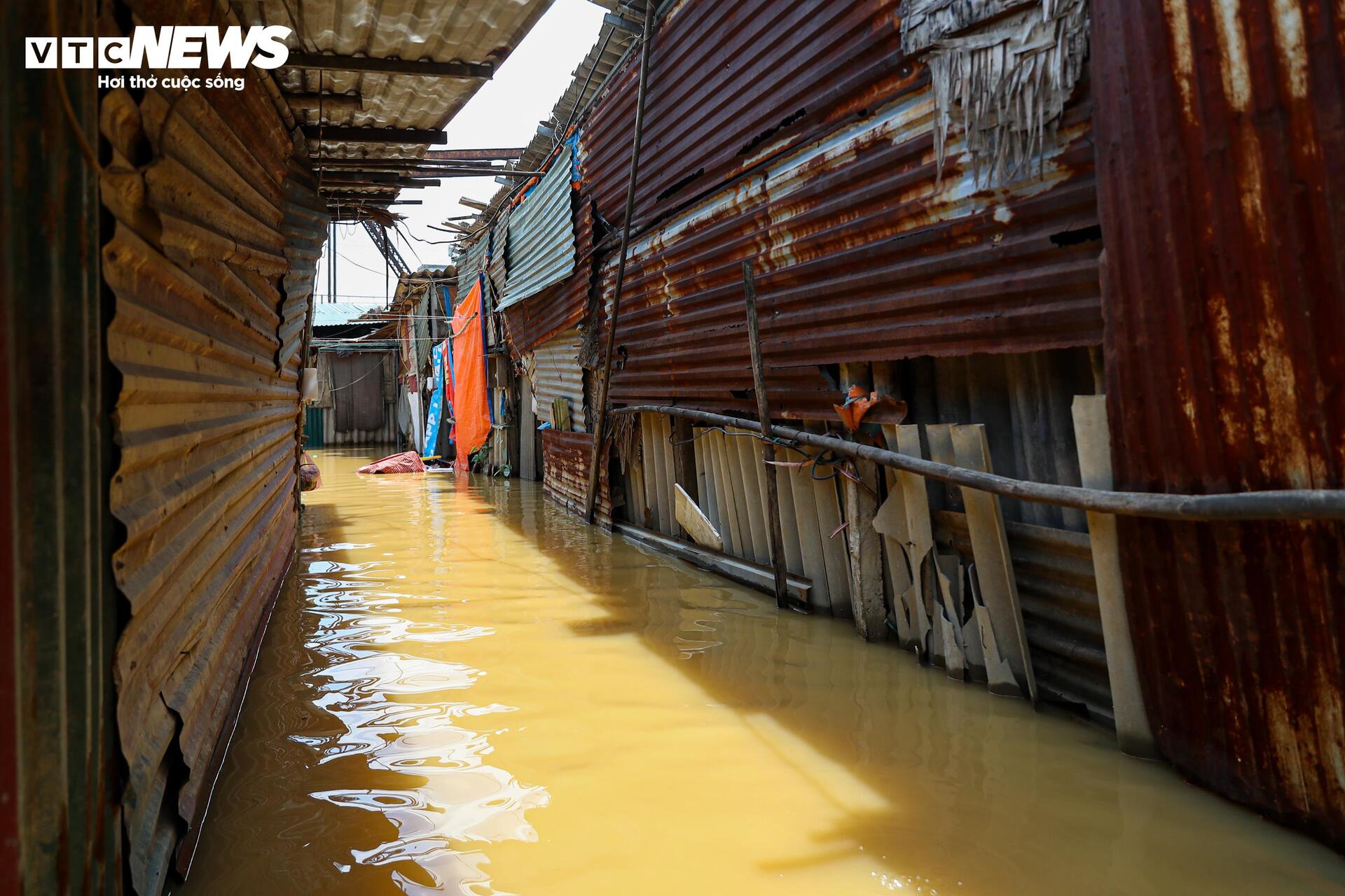 Sông Hồng dâng nước lớn, bủa vây khu dân cư ven bờ - Ảnh 8