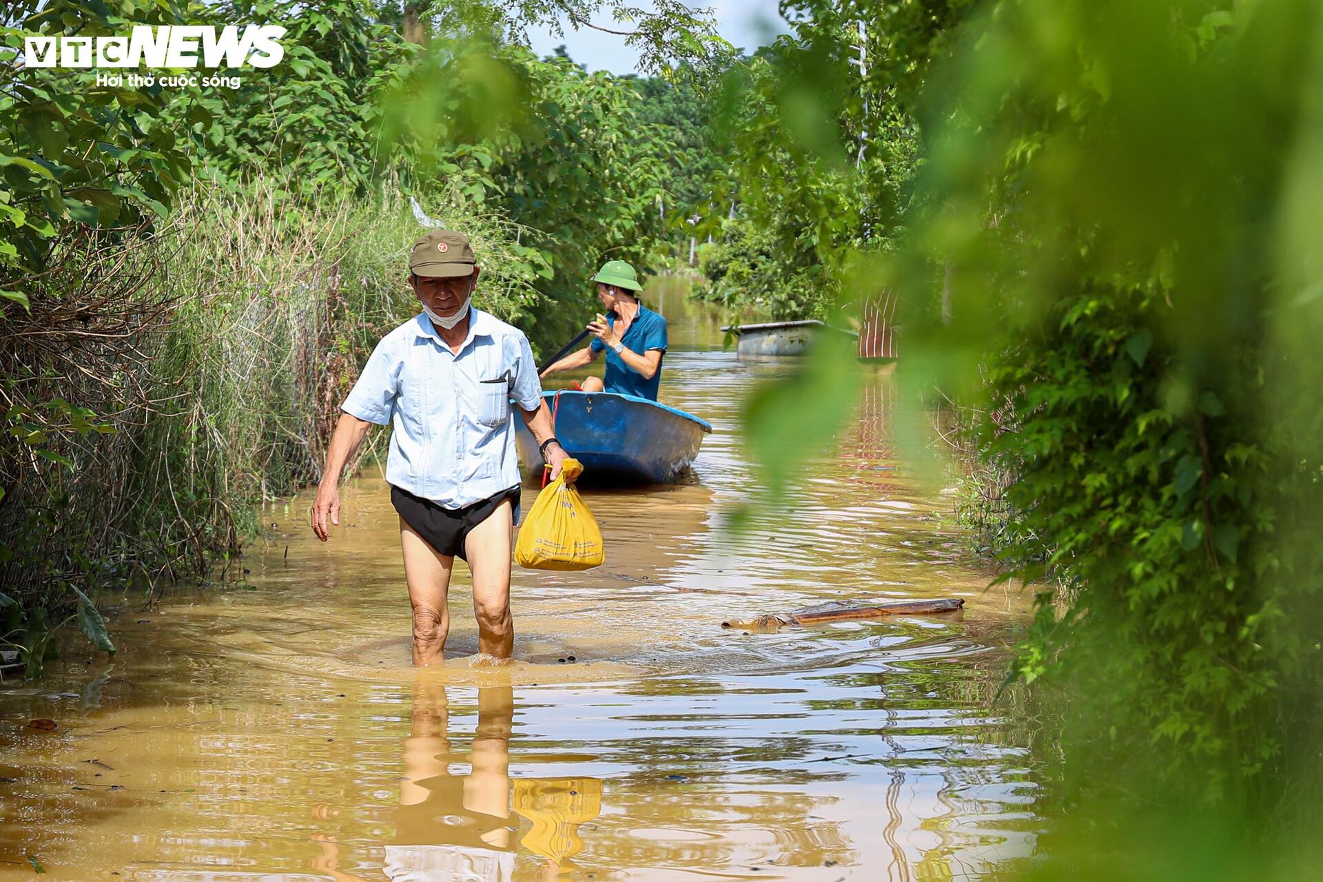 Sông Hồng dâng nước lớn, bủa vây khu dân cư ven bờ - Ảnh 25