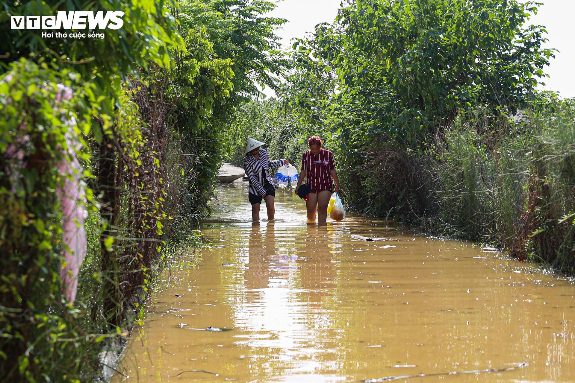 Sông Hồng dâng nước lớn, bủa vây khu dân cư ven bờ - Ảnh 23