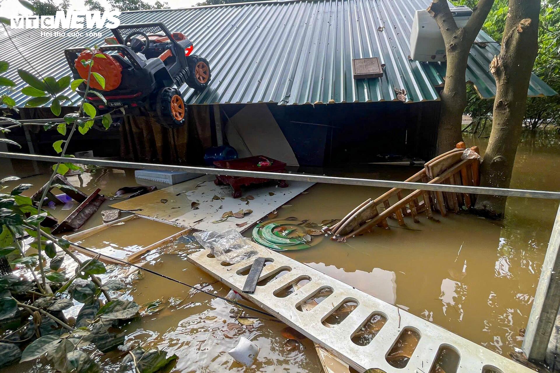 Sông Hồng dâng nước lớn, bủa vây khu dân cư ven bờ - Ảnh 27
