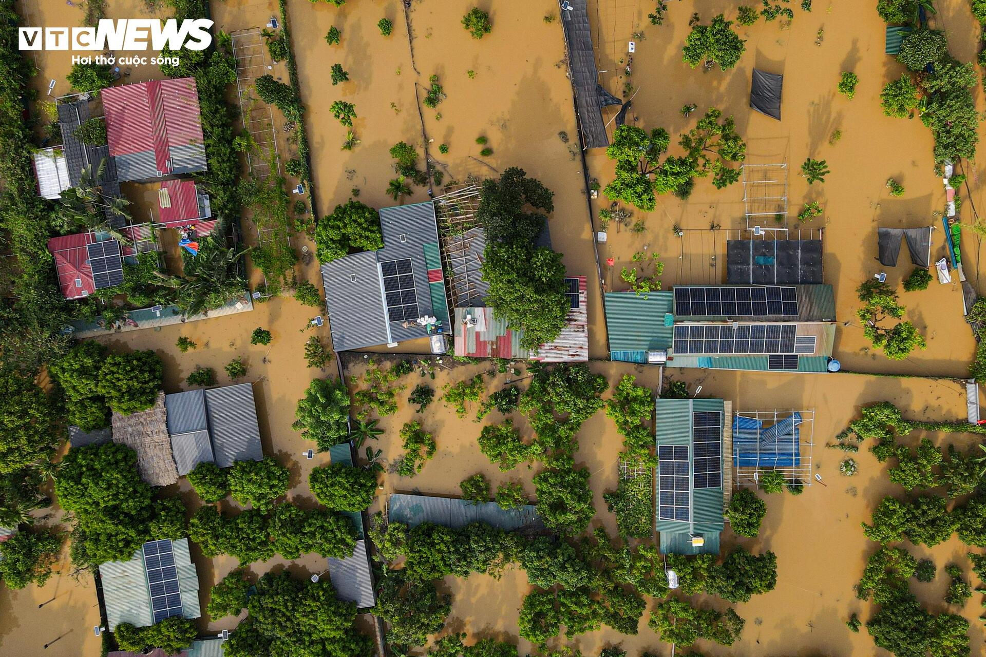 Sông Hồng dâng nước lớn, bủa vây khu dân cư ven bờ - Ảnh 15