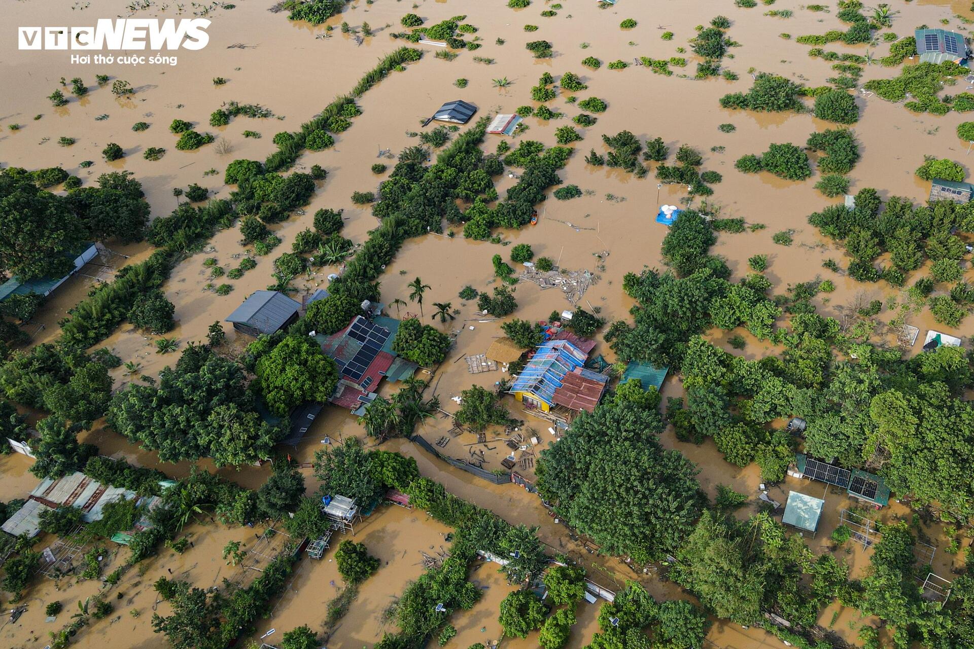 Sông Hồng dâng nước lớn, bủa vây khu dân cư ven bờ - Ảnh 16