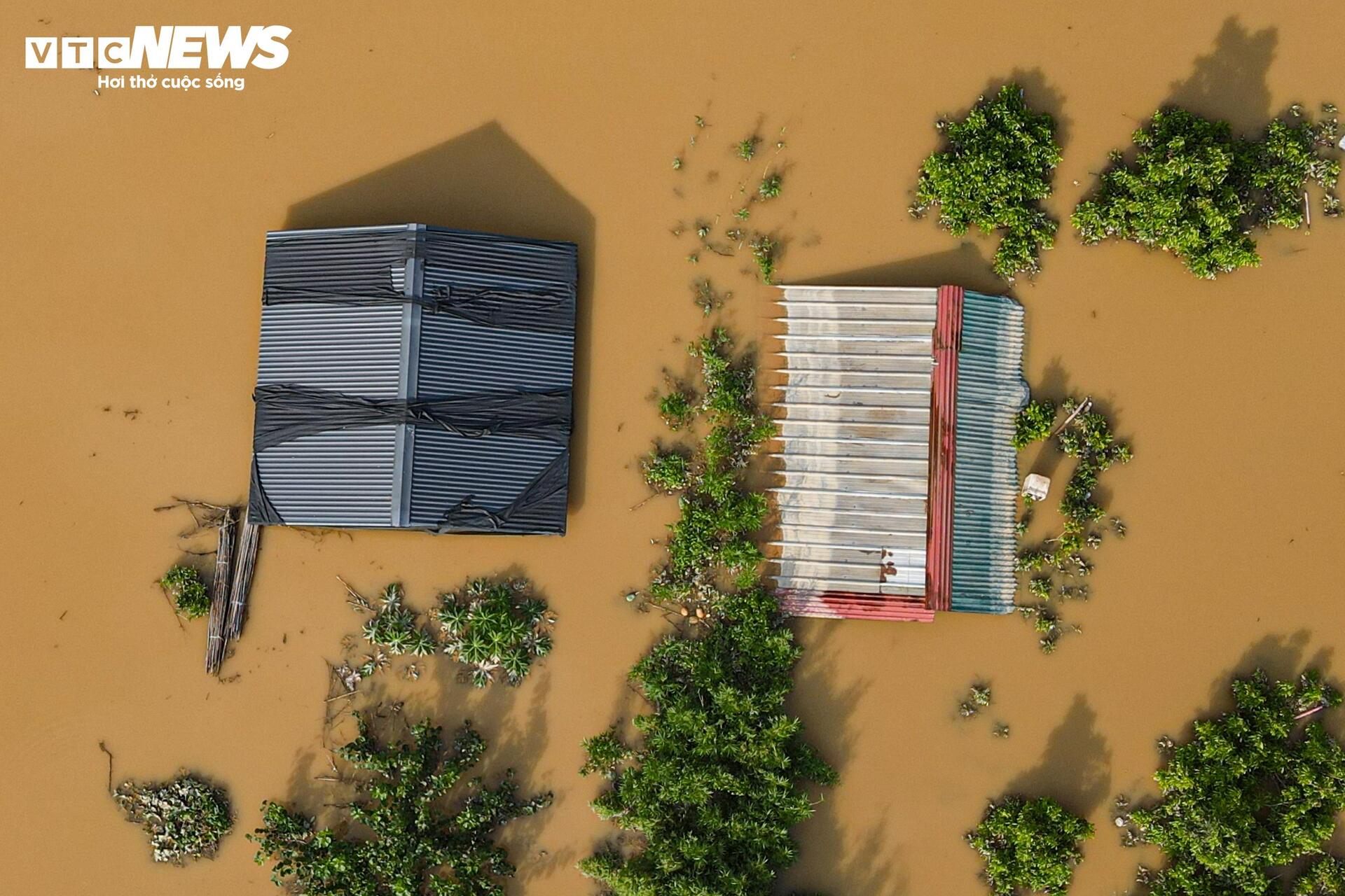 Sông Hồng dâng nước lớn, bủa vây khu dân cư ven bờ - Ảnh 17