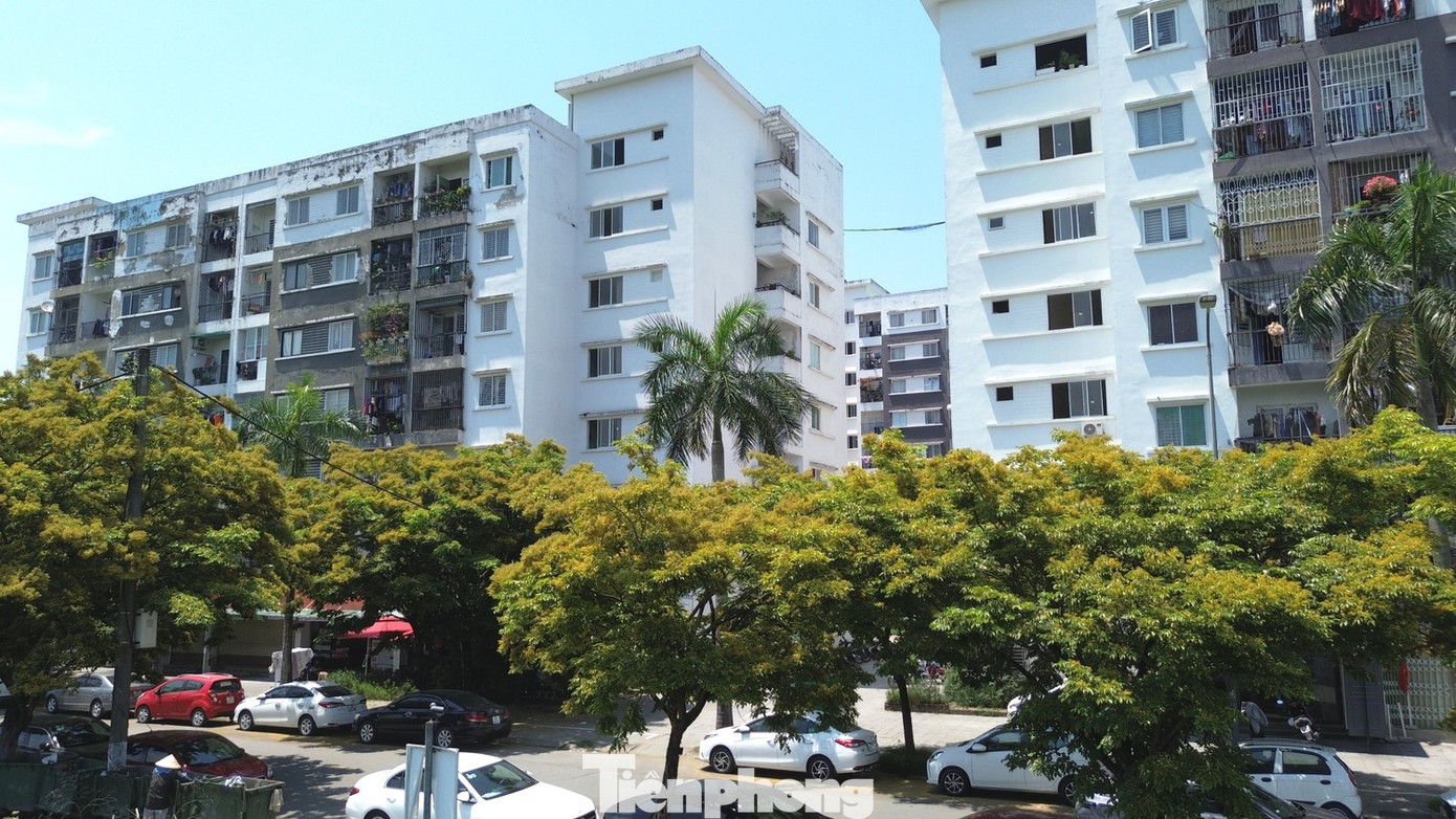 Đi làm xa hơn 20km được mua nhà ở xã hội - Ảnh 1