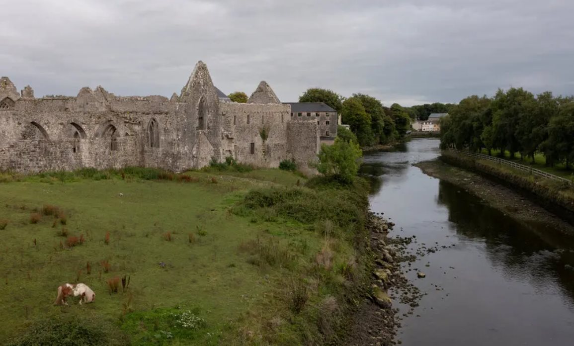 Thị trấn tại Ireland lao đao khi Nestle thông báo đóng cửa một nhà máy sữa bột trẻ em, 540 công nhân bơ vơ - Ảnh 1