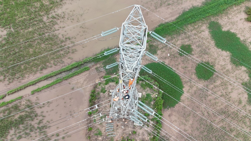 Hoàn thành thay thế cách điện đường dây 220kV mạch kép Thái Bình – Tiền Hải – Trực Ninh - Ảnh 3