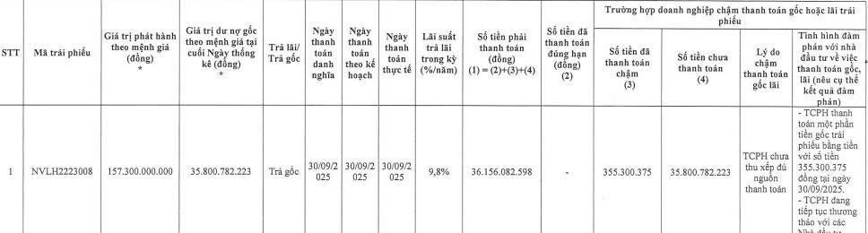 Novaland chậm thanh toán gần 308 tỷ đồng tiền gốc cho 2 lô trái phiếu - Ảnh 2