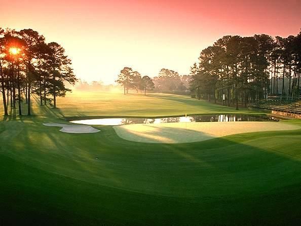 Vin New Horizon Cần Giờ: "Chủ động sống khỏe" của thế hệ tuổi vàng tại Việt Nam - Ảnh 1